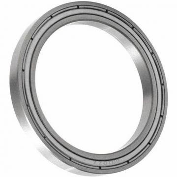 SKF Thin Wall Section Bearing 61805 61806 61807 61808/61809/61810/61811/61812/61813/61814/61815/61816/61817/61818/61819/61820m/61821m/61822m/61824m/61826-2RS-Zz