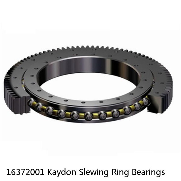 16372001 Kaydon Slewing Ring Bearings