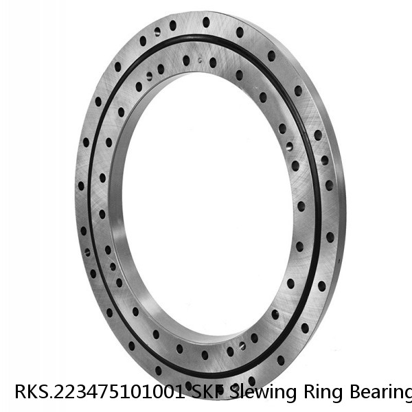 RKS.223475101001 SKF Slewing Ring Bearings #1 small image