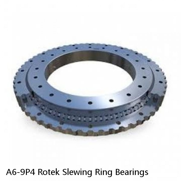 A6-9P4 Rotek Slewing Ring Bearings #1 small image