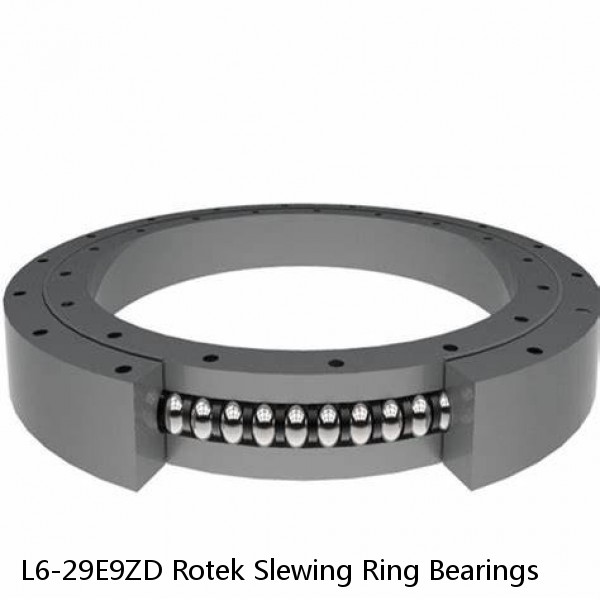 L6-29E9ZD Rotek Slewing Ring Bearings #1 small image