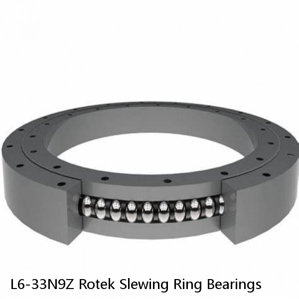 L6-33N9Z Rotek Slewing Ring Bearings #1 small image