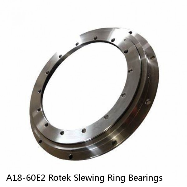 A18-60E2 Rotek Slewing Ring Bearings #1 small image