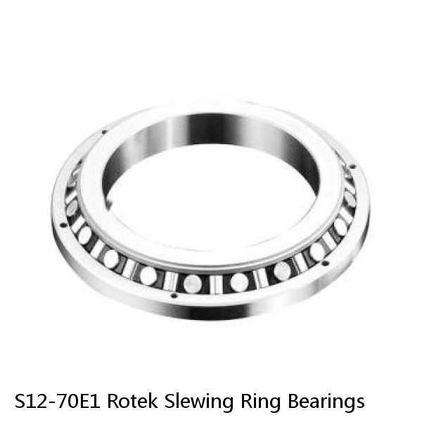 S12-70E1 Rotek Slewing Ring Bearings #1 small image