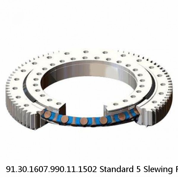 91.30.1607.990.11.1502 Standard 5 Slewing Ring Bearings #1 small image