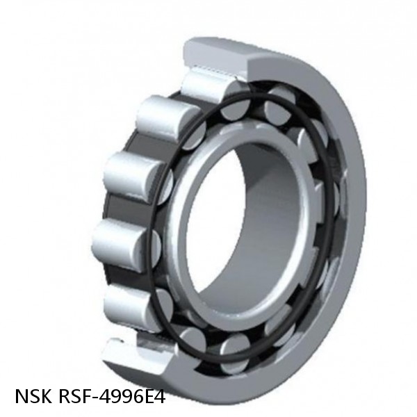 RSF-4996E4 NSK CYLINDRICAL ROLLER BEARING #1 small image