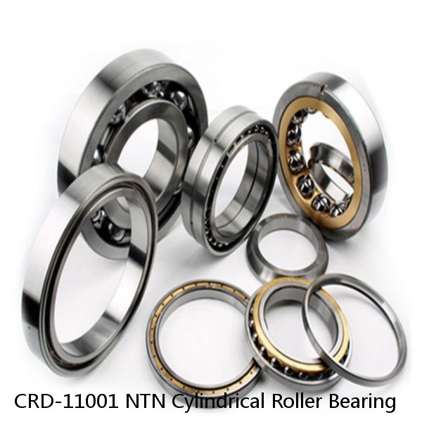 CRD-11001 NTN Cylindrical Roller Bearing #1 small image