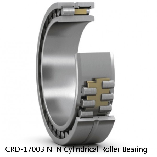 CRD-17003 NTN Cylindrical Roller Bearing #1 small image