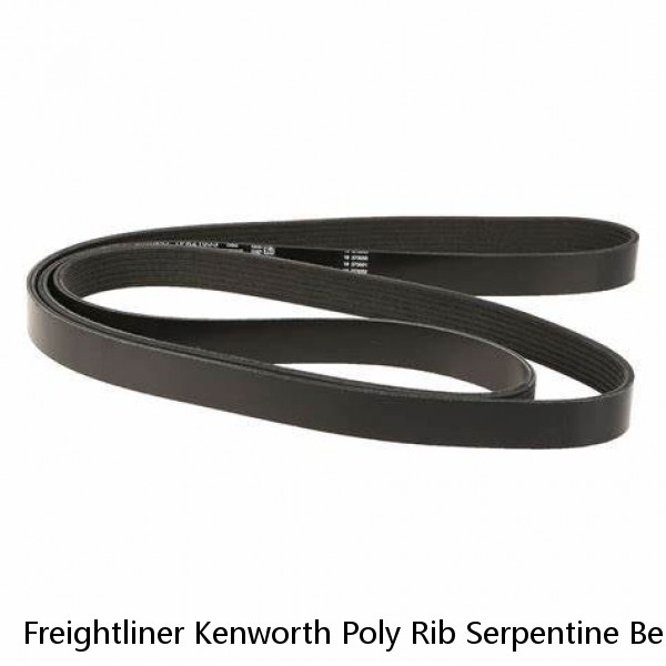 Freightliner Kenworth Poly Rib Serpentine Belt ALLIANCE 8PK2172 / GT4080855 #1 small image