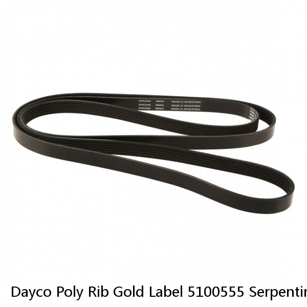 Dayco Poly Rib Gold Label 5100555 Serpentine Belt #1 small image