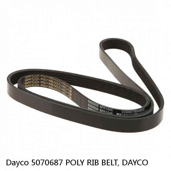 Dayco 5070687 POLY RIB BELT, DAYCO #1 small image