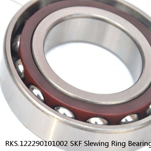 RKS.122290101002 SKF Slewing Ring Bearings #1 image