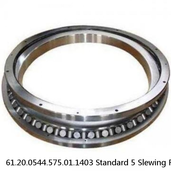 61.20.0544.575.01.1403 Standard 5 Slewing Ring Bearings #1 image